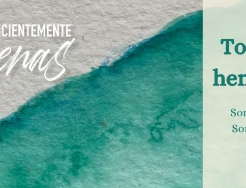 Todo lo que hemos hecho