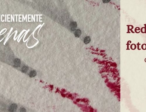 Redes, dudas y fotos del canva